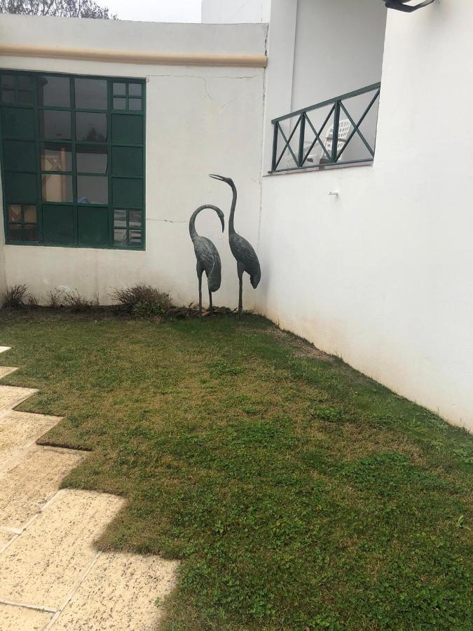 Hotel Castelo De Vide Exterior photo